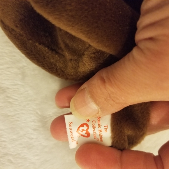 Original ty beanie Baby seaweed - Picture 2 of 2